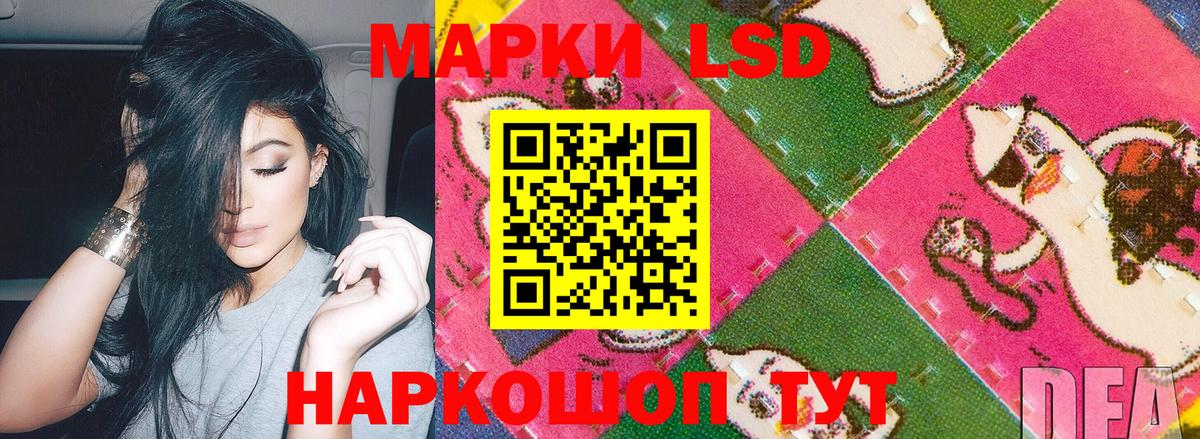 Кокаин  Вход с VPN  Новозыбков  Alpha PVP СОЛЬ   Конопля  Гашиш  Меф МЯУ МЯУ кристаллы 