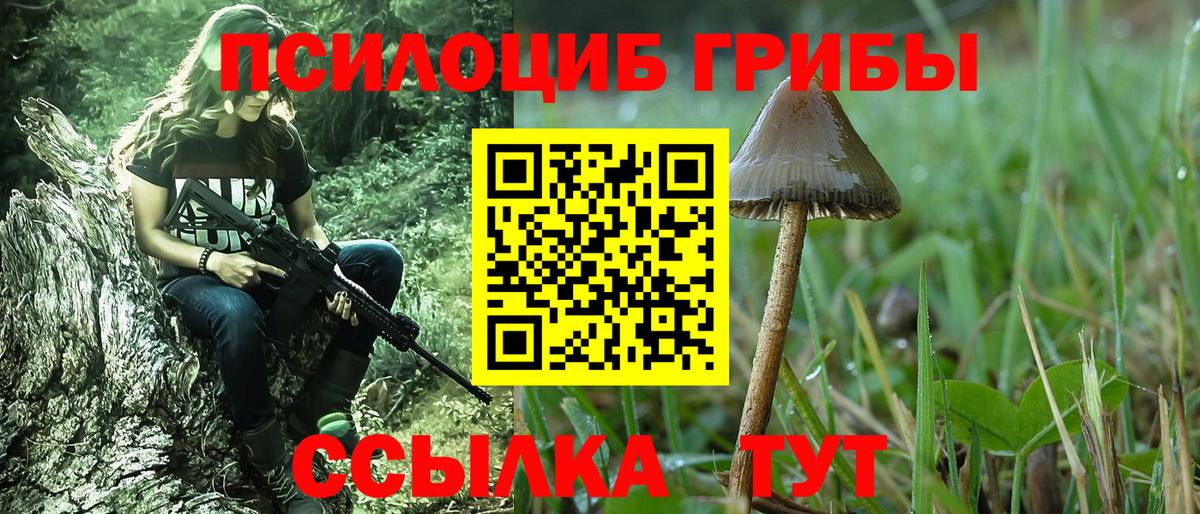 Псилоцибиновые грибы мухоморы Новозыбков
