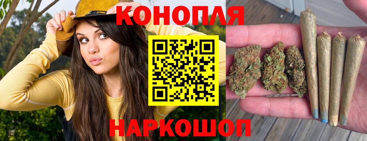 Бошки Шишки Ganja  Бошки Шишки план  Вход с VPN  Новозыбков 